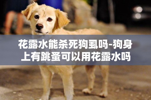 花露水能殺死狗虱嗎-狗身上有跳蚤可以用花露水嗎