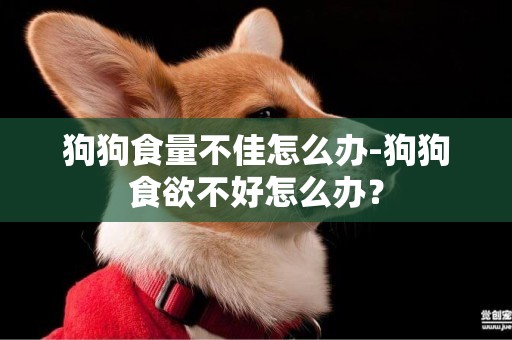 狗狗食量不佳怎么辦-狗狗食欲不好怎么辦？