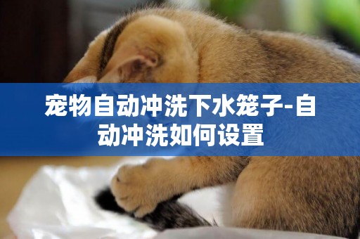 寵物自動沖洗下水籠子-自動沖洗如何設置