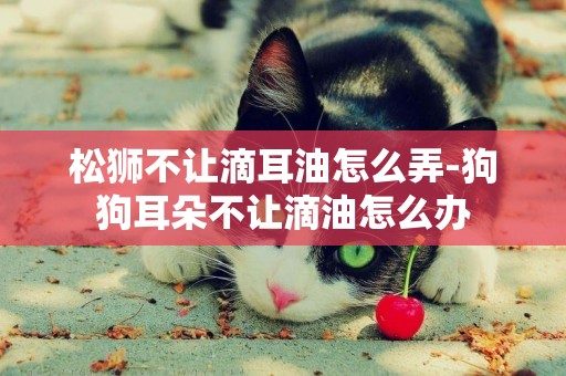 松獅不讓滴耳油怎么弄-狗狗耳朵不讓滴油怎么辦