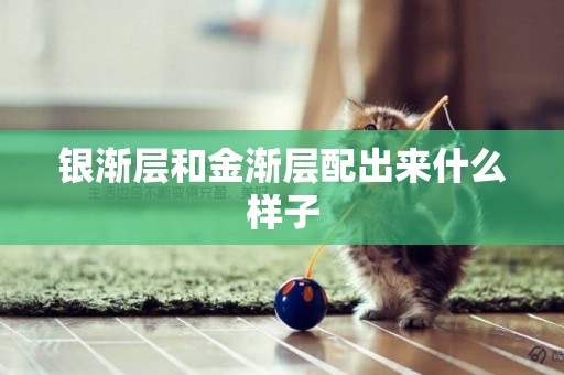 銀漸層和金漸層配出來什么樣子