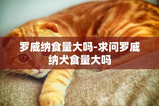 羅威納食量大嗎-求問羅威納犬食量大嗎