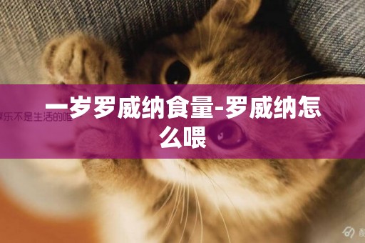 一歲羅威納食量-羅威納怎么喂