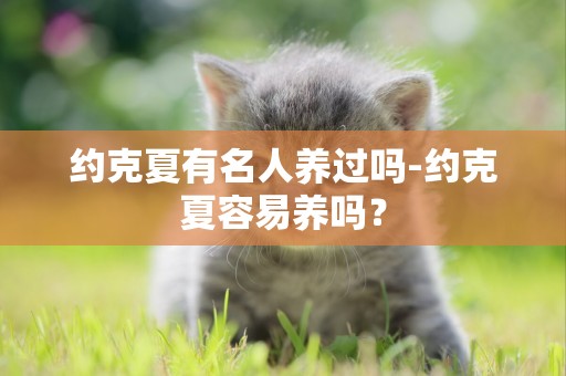 約克夏有名人養過嗎-約克夏容易養嗎？