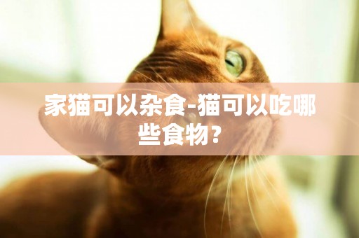 家貓可以雜食-貓可以吃哪些食物？