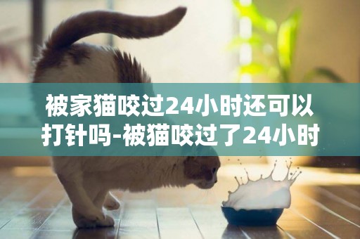 被家貓咬過24小時還可以打針嗎-被貓咬過了24小時在打針可以嗎