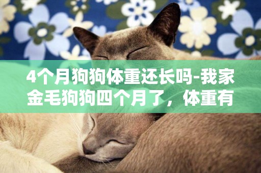 4個月狗狗體重還長嗎-我家金毛狗狗四個月了，體重有8公斤半正常嗎？