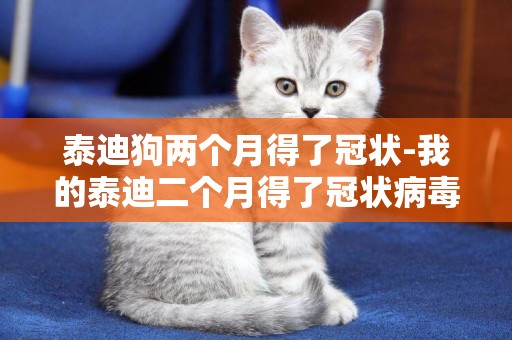 泰迪狗兩個月得了冠狀-我的泰迪二個月得了冠狀病毒怎么治