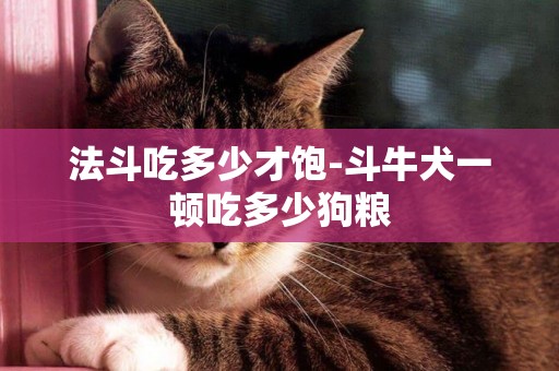 法斗吃多少才飽-斗牛犬一頓吃多少狗糧