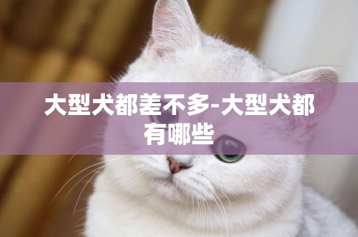 大型犬都差不多-大型犬都有哪些