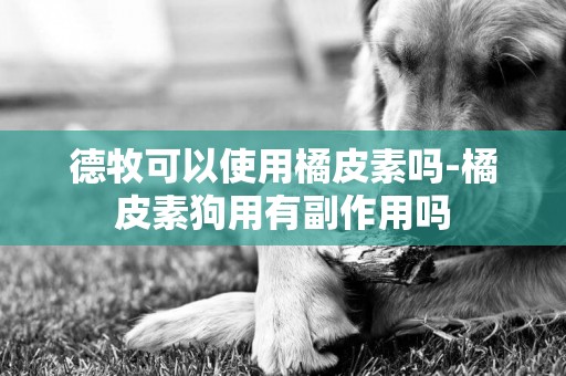 德牧可以使用橘皮素嗎-橘皮素狗用有副作用嗎