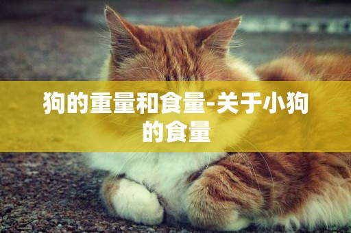 狗的重量和食量-關于小狗的食量