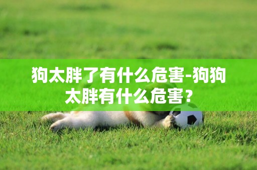 狗太胖了有什么危害-狗狗太胖有什么危害？