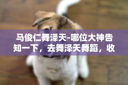 馬俊仁舞澤天-哪位大神告知一下，去舞澤天舞蹈，收費貴嗎？