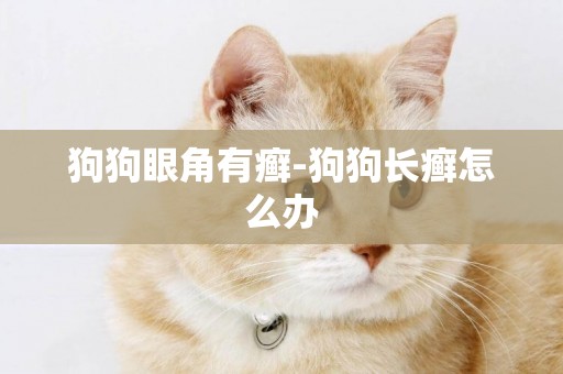 狗狗眼角有癬-狗狗長癬怎么辦