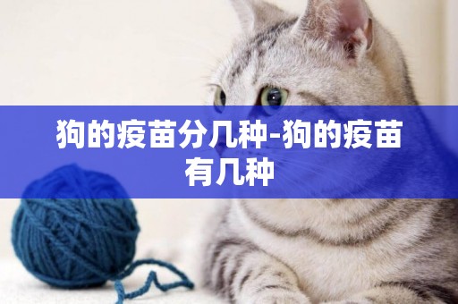 狗的疫苗分幾種-狗的疫苗有幾種
