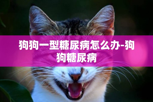 狗狗一型糖尿病怎么辦-狗狗糖尿病