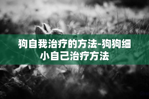 狗自我治療的方法-狗狗細小自己治療方法