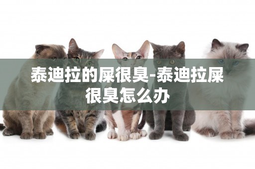 泰迪拉的屎很臭-泰迪拉屎很臭怎么辦
