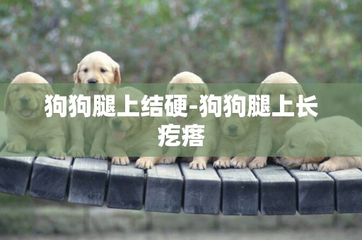 狗狗腿上結硬-狗狗腿上長疙瘩