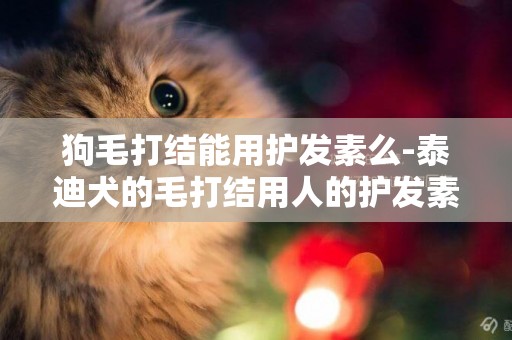 狗毛打結能用護發素么-泰迪犬的毛打結用人的護發素行嗎