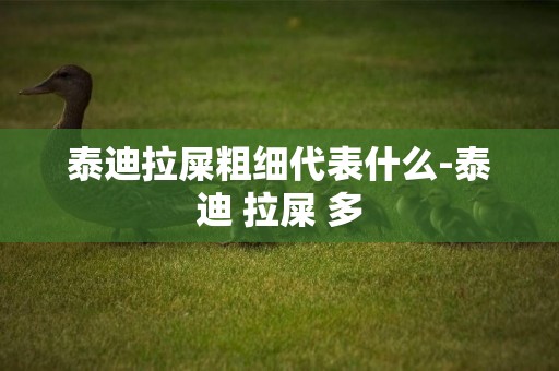 泰迪拉屎粗細代表什么-泰迪 拉屎 多