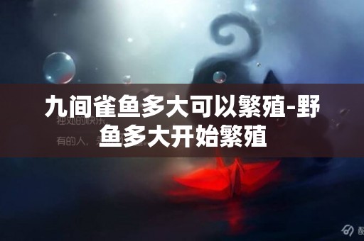 九間雀魚多大可以繁殖-野魚多大開始繁殖