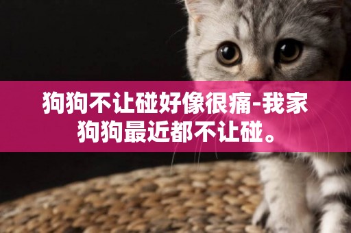 狗狗不讓碰好像很痛-我家狗狗最近都不讓碰。