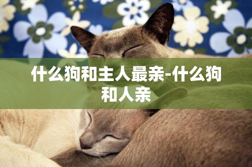 什么狗和主人最親-什么狗和人親