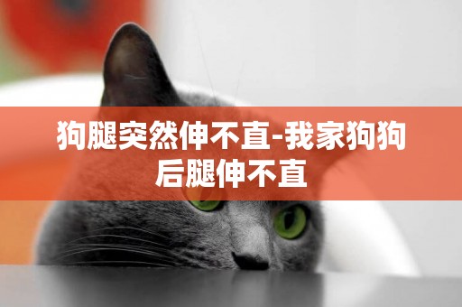 狗腿突然伸不直-我家狗狗后腿伸不直