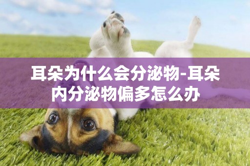 耳朵為什么會分泌物-耳朵內分泌物偏多怎么辦