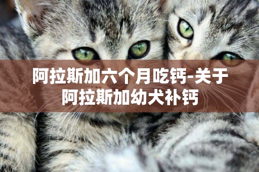 阿拉斯加六個月吃鈣-關于阿拉斯加幼犬補鈣
