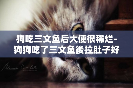 狗吃三文魚后大便很稀爛-狗狗吃了三文魚後拉肚子好幾天都不好
