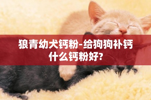 狼青幼犬鈣粉-給狗狗補鈣什么鈣粉好?