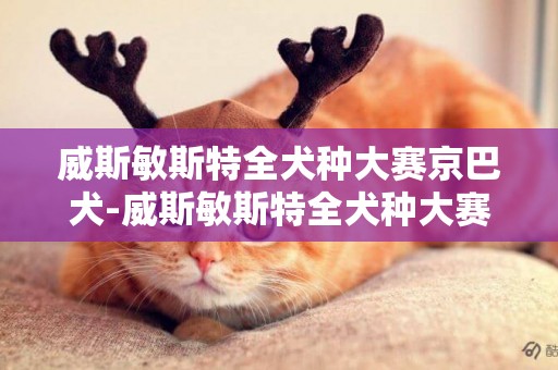 威斯敏斯特全犬種大賽京巴犬-威斯敏斯特全犬種大賽的簡介