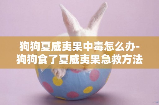 狗狗夏威夷果中毒怎么辦-狗狗食了夏威夷果急救方法