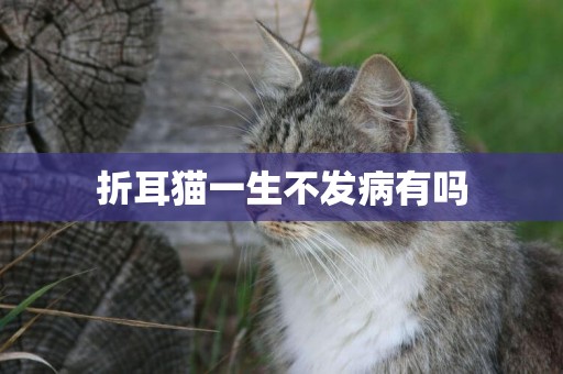 折耳貓一生不發病有嗎