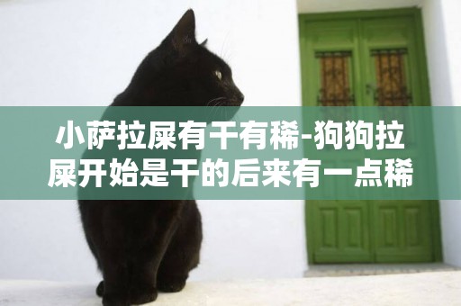 小薩拉屎有干有稀-狗狗拉屎開始是干的后來有一點稀的