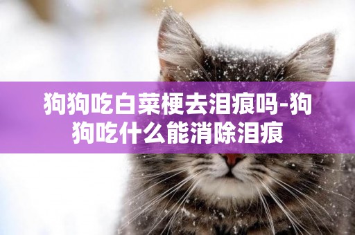 狗狗吃白菜梗去淚痕嗎-狗狗吃什么能消除淚痕