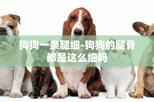 狗狗一條腿細-狗狗的腿骨都是這么細嗎