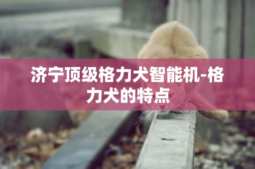 濟寧頂級格力犬智能機-格力犬的特點