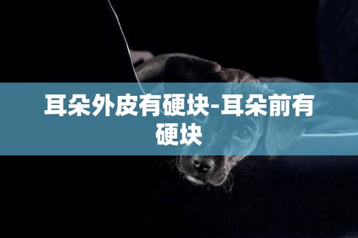 耳朵外皮有硬塊-耳朵前有硬塊