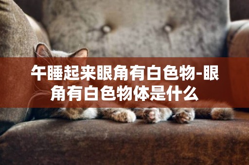 午睡起來眼角有白色物-眼角有白色物體是什么