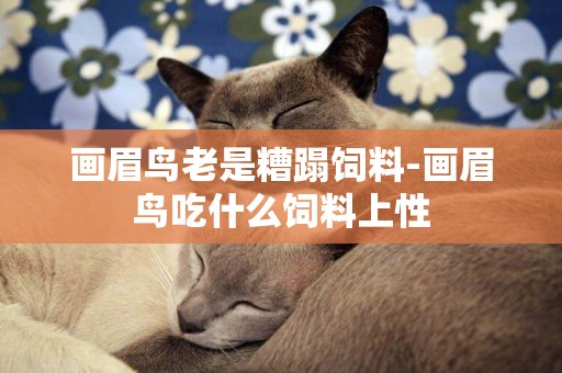 畫眉鳥老是糟蹋飼料-畫眉鳥吃什么飼料上性