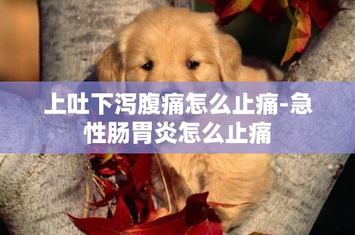 上吐下瀉腹痛怎么止痛-急性腸胃炎怎么止痛