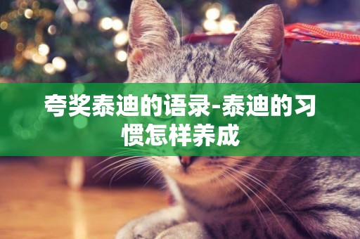 夸獎泰迪的語錄-泰迪的習慣怎樣養成