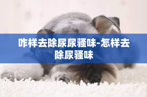 咋樣去除尿尿騷味-怎樣去除尿騷味