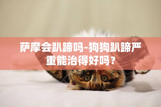 薩摩會趴蹄嗎-狗狗趴蹄嚴重能治得好嗎？