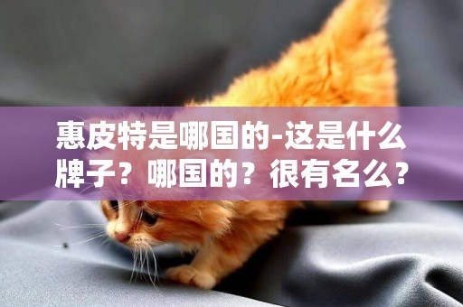 惠皮特是哪國的-這是什么牌子？哪國的？很有名么？