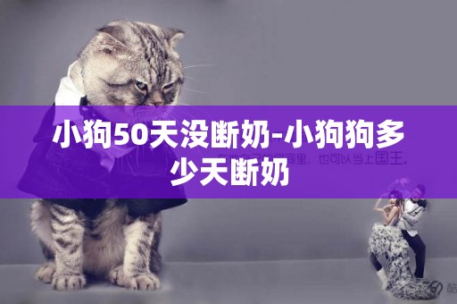 小狗50天沒斷奶-小狗狗多少天斷奶